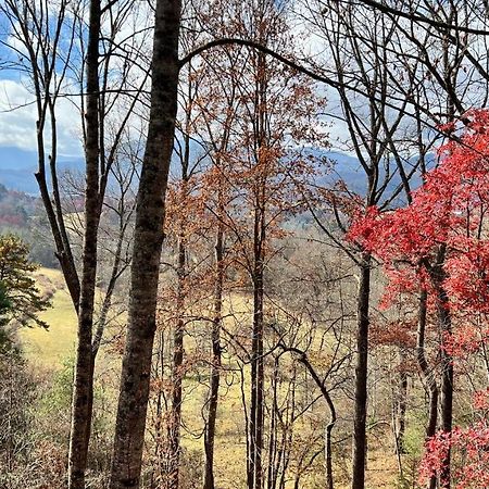 Misty Mountain Cottage Waynesville Exterior foto