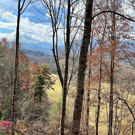 Misty Mountain Cottage Waynesville Exterior foto